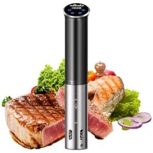 Sous Vide, Wancle Roner 1100 W Sous Vide Cooker controlo preciso da temperatura, IPX7 resistente à água, design compacto, fácil de usar