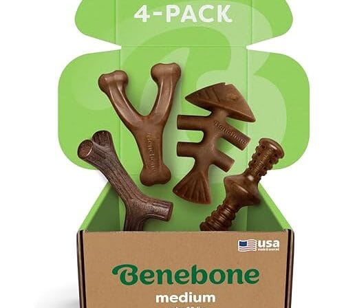 Benebone Pacote com 4 brinquedos para mastigar cães para mastigar agressivos, feitos nos EUA, 27 kg e menos