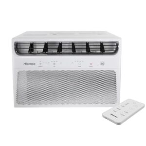 Ar-Condicionado Janela Inverter Wi-Fi 10.000 btus Frio 127V AW-10CW2RVGU00 Hisense