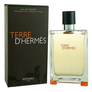 Terre D'Hermés Eau De Toilette Masculino 100 ml