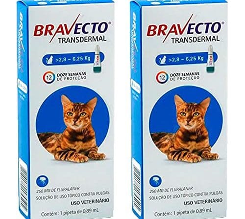 Bravecto Antipulgas Transdermal Para Gatos De 2,8 A 6,25kg - 2 Unidades