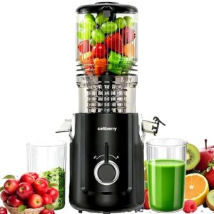 Celiberry Máquina de espremedor, espremedor de tamanho grande de 13,5 cm para frutas e vegetais inteiros, extrator de suco silencioso de 300 W, fácil de limpar, antientupimento, sem gotejamento, 99%